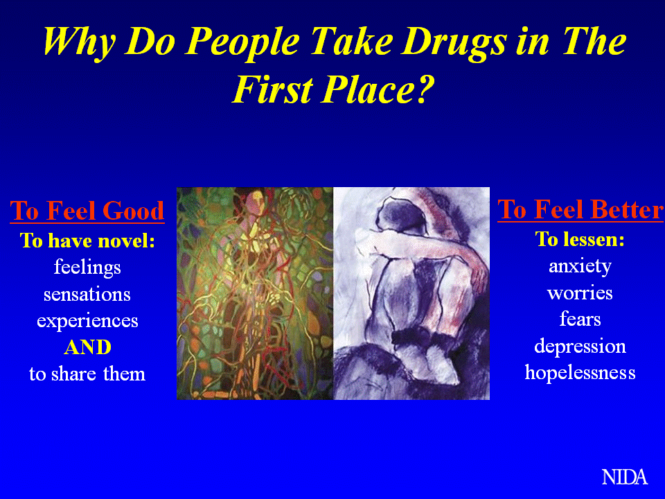 Why do people take drugs in the first place?