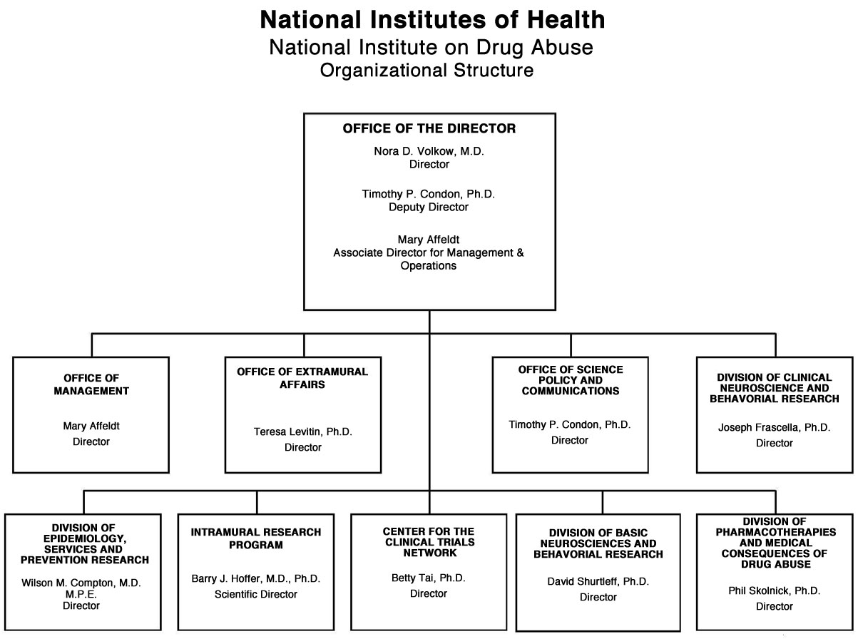 Non-Profit Organization Structure Chart