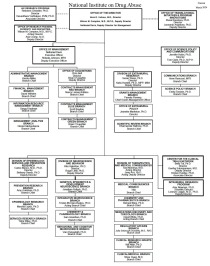 Org chart - see org pages