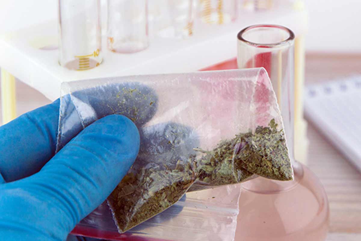 synthetic drug "spice" in a plastic bag