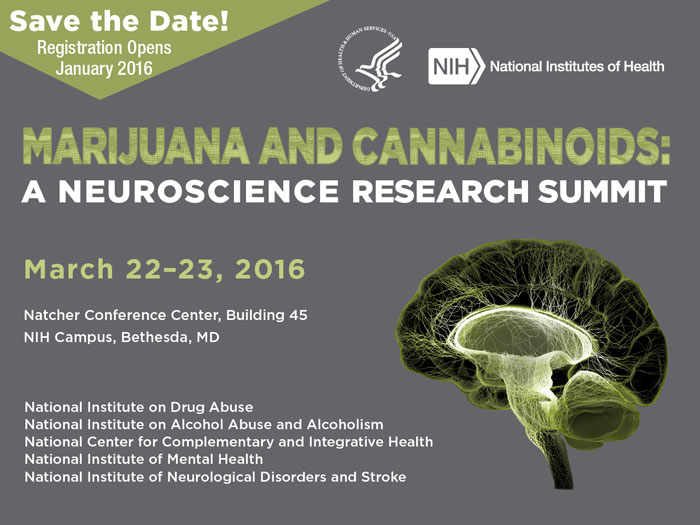 Marijuana and Cannabinoids: A neuroscience research summit
