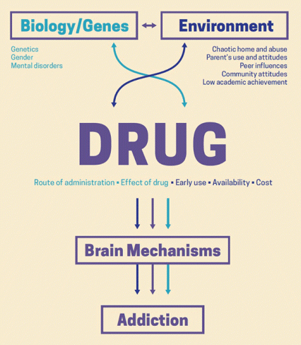 This is a graphical representation of the risk factors for drug misuse mentioned in the text.