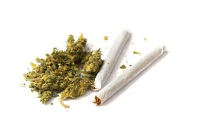 Photo of dried marijuana and joints.