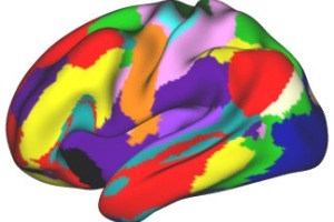 This figure represents functional organization of the 9-10-year-old brain, averaged across 1,166 individuals. Each color represents a distinct set of brain areas. 