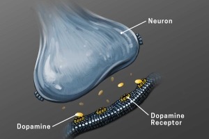 Illustration of a neuron showing dopamine and dopamine receptors